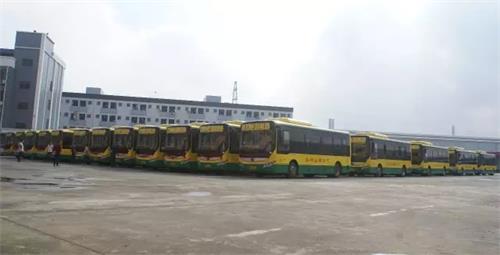 60臺電動公交車整裝待發、場面非常壯觀 60臺電動公交車整裝待發、場面非常壯觀